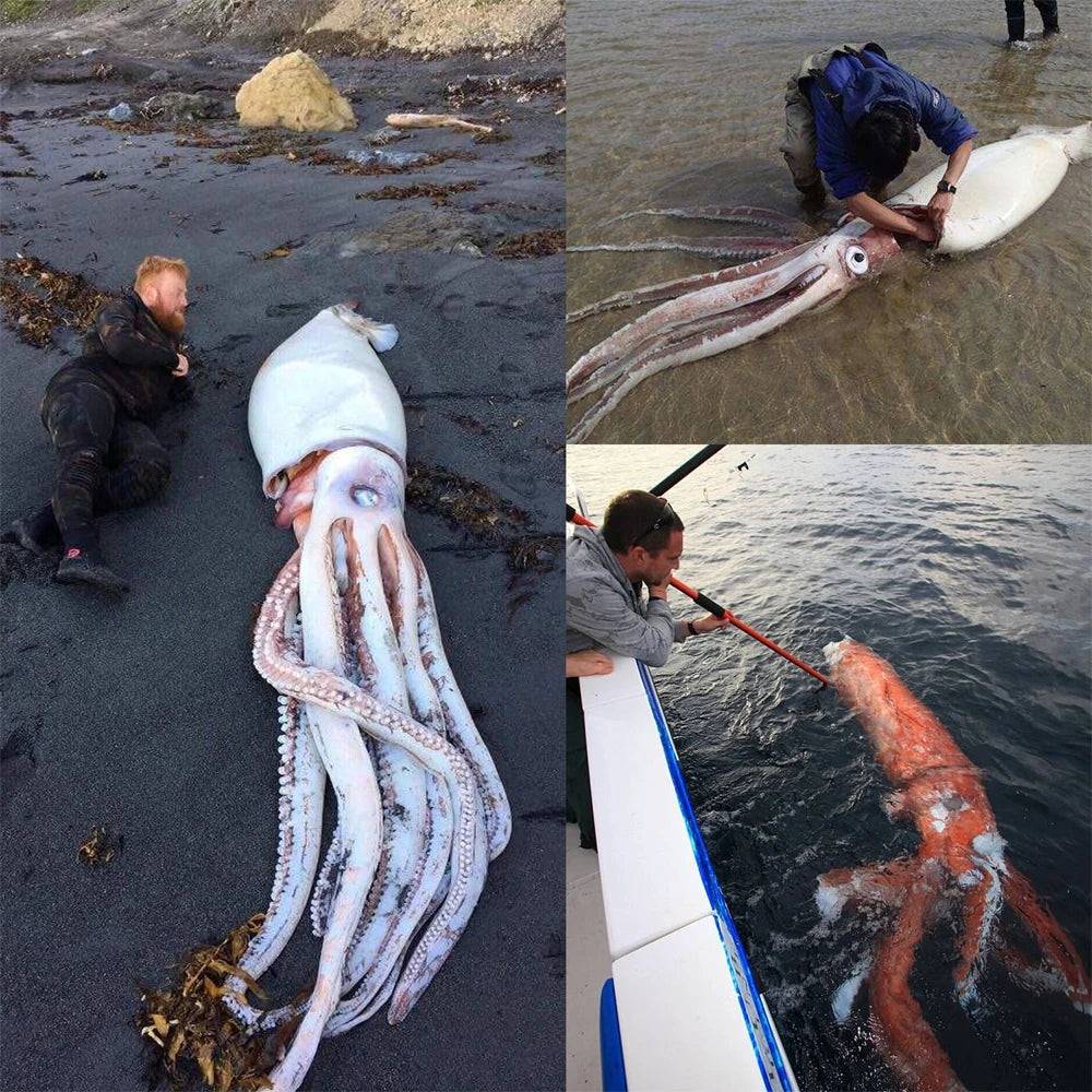1PCS Stainless Steel Luminous Huge Squid Hooks Fishing Tackle Lures Squid Jigs Hook 252 pcs Pins